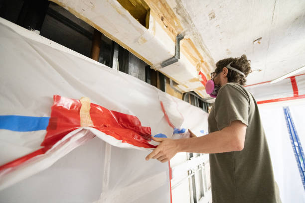 Best Mold Odor Removal Services  in Rock Hill, SC