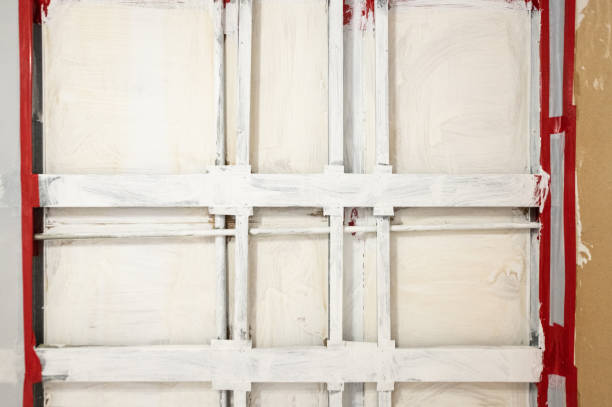 Biohazard Mold Removal in Rock Hill, SC