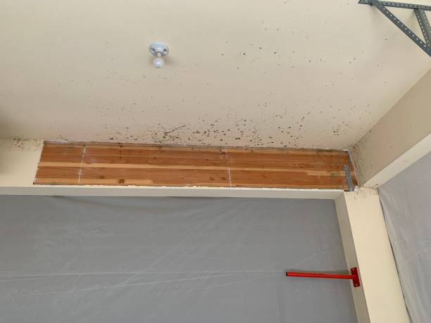 Best Air Quality Testing for Mold Spores  in Rock Hill, SC