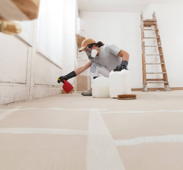 Best Comprehensive Air Testing for Mold Contaminants  in Rock Hill, SC